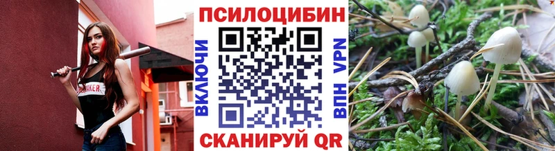 дарк нет клад  Ясногорск  Галлюциногенные грибы Psilocybe 